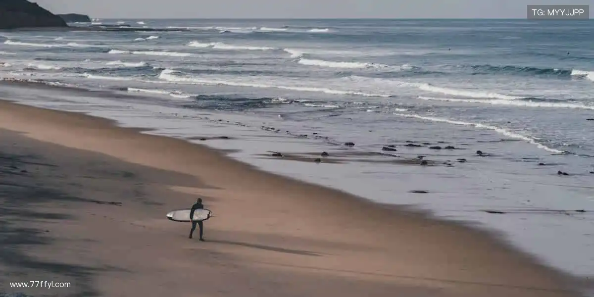 实时数据，专业解说，用科技拉近你与赛场的距离📊🎙️